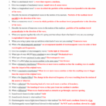 Waves Review Worksheet Answer Key Zipworksheet