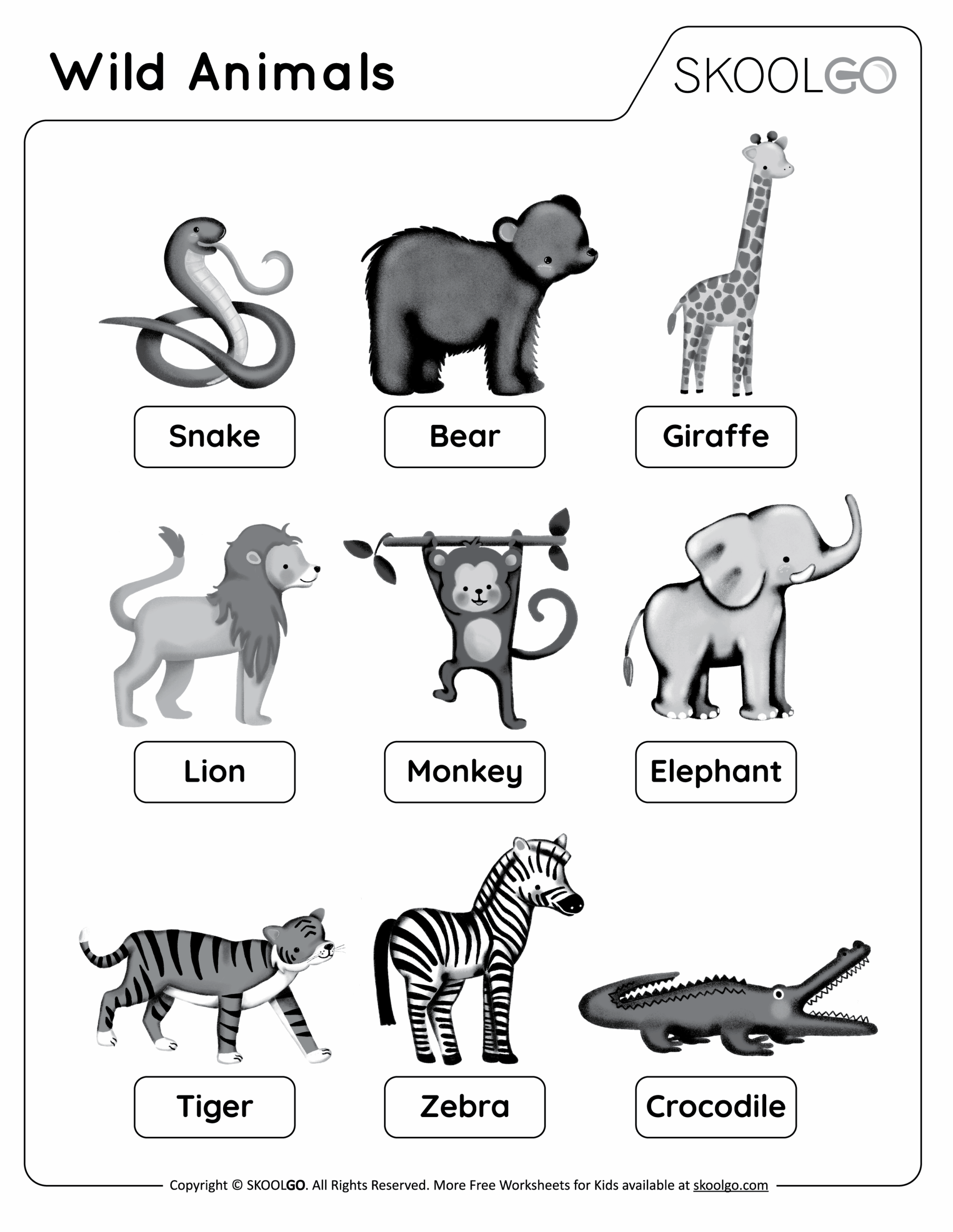 worksheet for kids