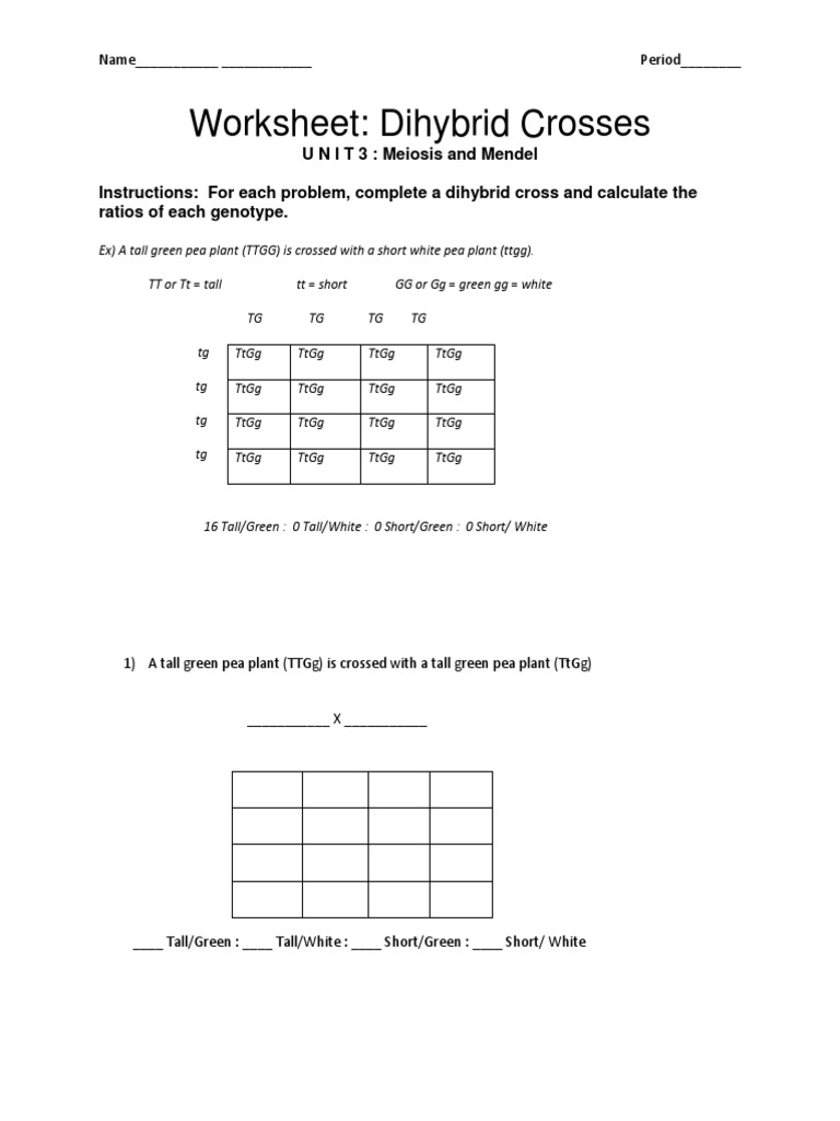 Worksheet Dihybrid Crosses PDF Dominance Genetics Zygosity