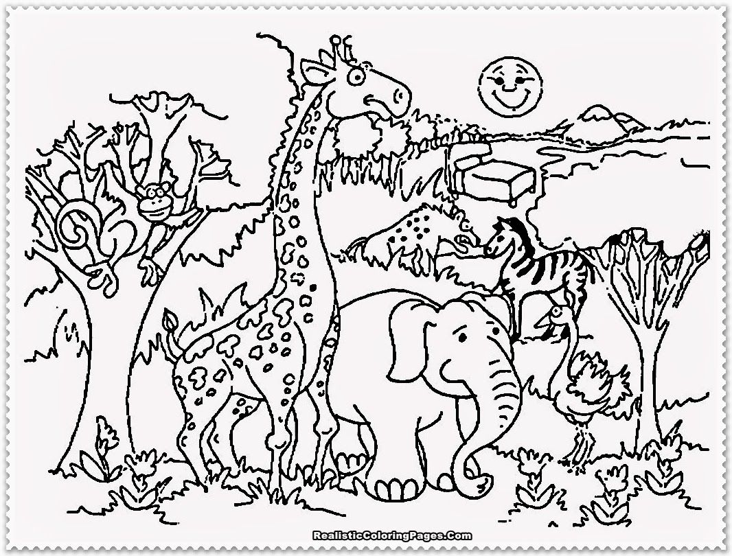Zoo Animal Coloring Pages Printable Coloring Home